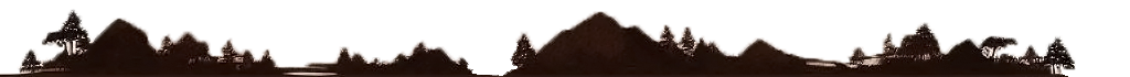 Un paysage montagneux en ombre portée servant de séparateur entre le contenu de la page et le footer